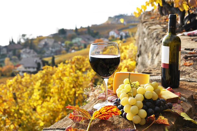 Las exportaciones españolas de vino aumentan un 8,3%