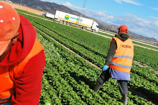 Firmas españolas ofrecen tecnología agrícola en Colombia