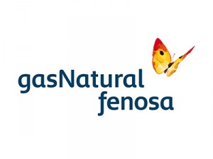Gas Natural Fenosa estima en 45 millones la reducción de retribución de 2014