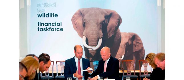 Banco Santander se une al Grupo Financiero Internacional contra el tráfico de especies salvajes